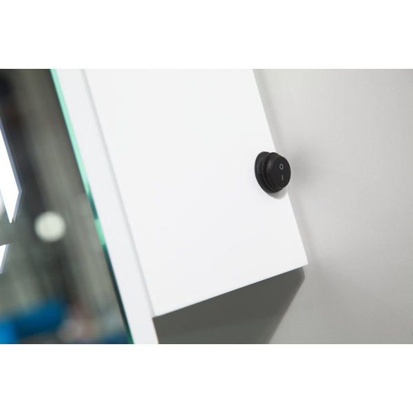 Orren Ellis Fichter 20'' W 25'' H Surface Mount Frameless Medicine